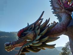 -宁波五龙潭景区