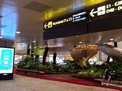 -樟宜机场免税店