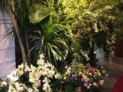 -春暖花开(西溪店)