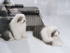 -TrueLove @ Neverland (Husky Cafe)