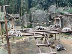 -杭州野生动物世界