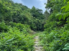 -素山寺森林公园