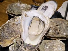 -烧蠔帮·生蚝海鲜牌档(观海店)