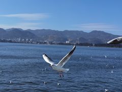 -海埂大坝