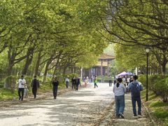 -南京市江宁方山