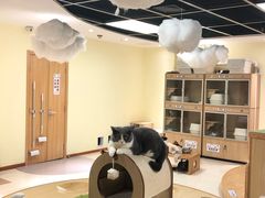 -猫和宫(六道口店)