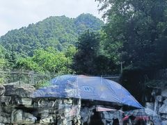 -黔灵山公园