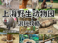 -上海野生动物园