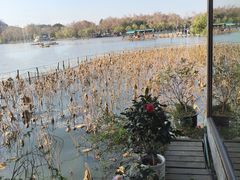 -湖畔居茶楼(湖滨店)