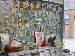 -爱妮康宠物医院·干细胞免疫细胞·肿瘤·心脏(张江店)