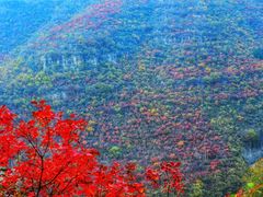-狼牙山风景区