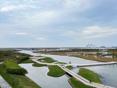 -春花秋色城市公园