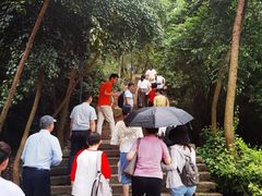 -青芝山风景名胜区