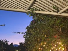 -大理老字号·舟渔的鱼野生菌海景餐厅(双廊店)