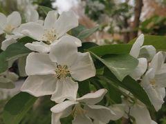 -廊坊文化艺术中心