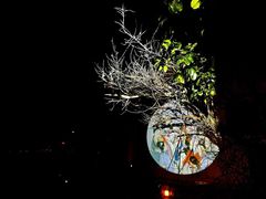 -东方明珠老上海8号餐厅(东方明珠广播电视塔店)