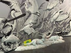 -中国湿地博物馆