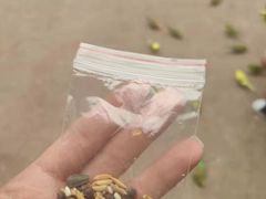 -灵玲国际马戏城