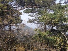 -沂蒙山旅游区云蒙景区(蒙山国家森林公园)