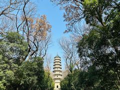 -灵谷景区