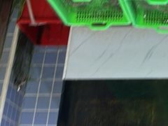 -众味海鲜大排档·活海鲜·潮汕味(南澳店)