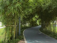 -四海公园(南山区)