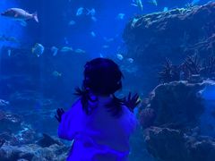 -海合安成都极地海洋公园