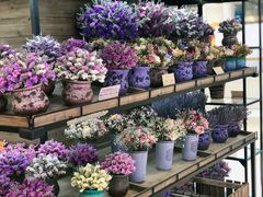 -L.C FLORA花予你(城西银泰城店)