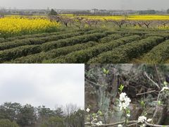-木兰云雾山