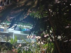-谷咖啡·鲜花绿植花园餐厅