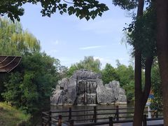 -溱湖国家湿地公园