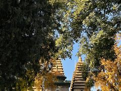 -北京石刻艺术博物馆(五塔寺)