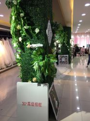 -巴黎时尚婚纱摄影(南汇店)