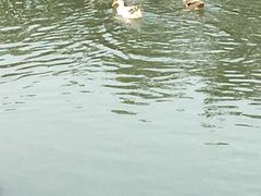 -乡乐园蟹庄·阳澄湖农家乐