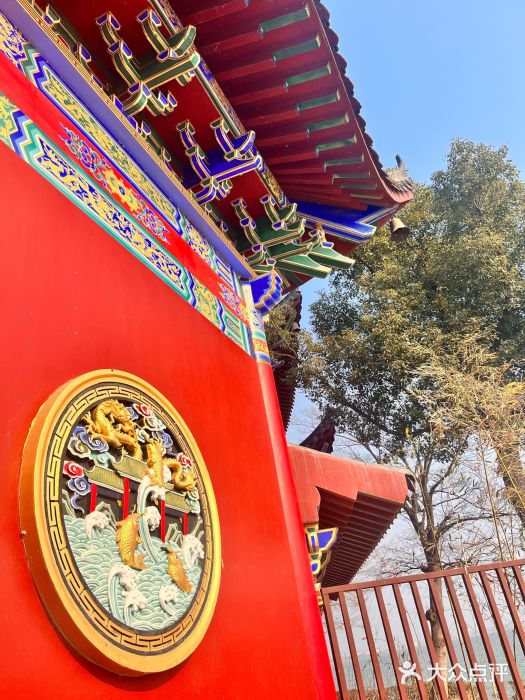 安徽八里河旅游区图片