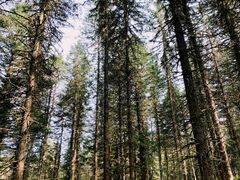 -硗碛藏寨·神木垒景区