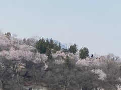 -白水寺森林公园