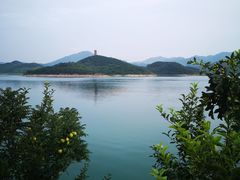 -望湖烤鱼