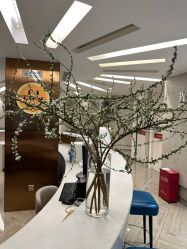 -深圳鹏爱秀琪医疗美容医院