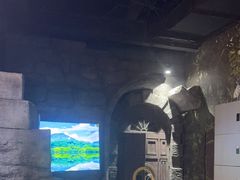 -暴风岛沉浸式体验馆(百联世纪店)