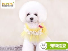 -安安宠医宠物医院·异宠·犬猫内科(岳阳分院)