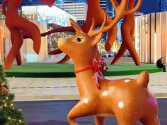 -深圳湾万象城(南山店)