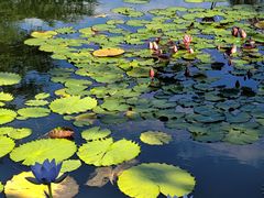 -国家植物园南园