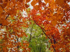 -永定河休闲森林公园