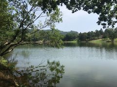 -南京市无想山景区