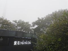 -MAMACHA妈妈茶(岳麓山店)