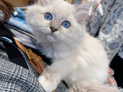 -龟与熊猫宠物公园(南坪店)