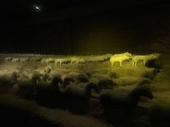 -汉景帝阳陵博物院