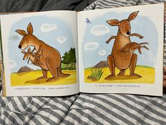 -饭米多蔻中英文绘本馆(苏州美罗店)