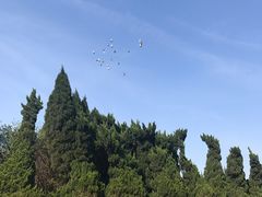 -上海市龙华烈士陵园